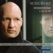 Winterreise, Op. 89, D. 911: No. 17. Im Dorfe artwork