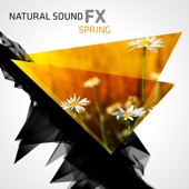Natural Sound FX: Spring artwork