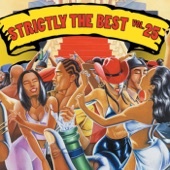 Strictly the Best, Vol. 25 artwork