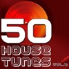 50 House Tunes, Vol. 2