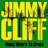 Many Rivers to Cross, 2010