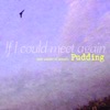 Pudding - If I Could Meet Again