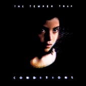 The Temper Trap - Sweet Disposition