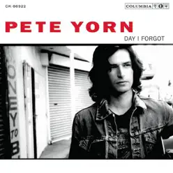Day I Forgot - Pete Yorn