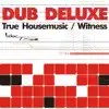 Stream & download True Housemusic / Witness