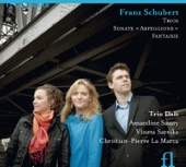Schubert: Trios, Sonate « Arpeggione » & Fantaisie artwork
