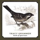 Tracy Grammer - The Waking Hour