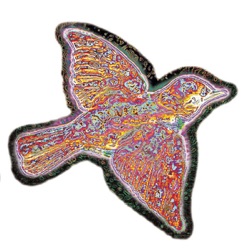 Widespread Panic - Blue Indian