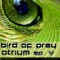 Atrium - Bird of Prey lyrics