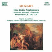 Mozart: Eine Kleine Nachtmusik, Serenata Notturna, Divertimenti artwork