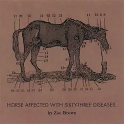 Ride the Sick Horse - Zac Brown Ride the Sick Horse - Zac Brown