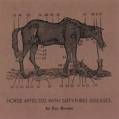 Ride the Sick Horse - Zac Brown Ride the Sick Horse - Zac Brown