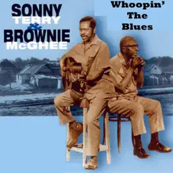 Whoopin' the Blues - Brownie McGhee