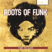 Roots of Funk, Vol. 1 (Funk the Blues) artwork