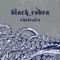 Beneath - Black Cobra lyrics