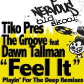 Feel It (Playin 4 the Deep Bonus Groove) [feat. Dawn Tallman] artwork