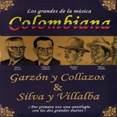 Los Grandes de la Música Colombiana artwork