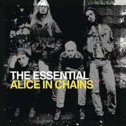 The Essential Alice In Chains - Alice In Chains