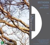 Beethoven: Sonates pour piano No. 8, 'Pathétique', No. 9, 'Claire de lune', No. 17 & No. 23,'Appassionata' artwork