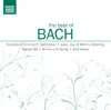 Stream & download St. Matthew Passion, BWV 244: Erbarme Dich, Mein Gott