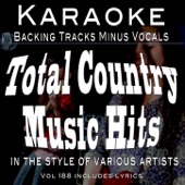 Everybody's Somebody's Fool [In the style of] Connie Francis (Professional Karaoke Backing Track) artwork