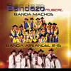Bandazo Músical album lyrics, reviews, download
