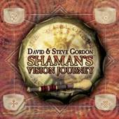 Shaman's Vision Journey artwork