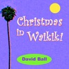 Christmas In Waikiki