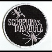 Scorpion vs. Tarantula - Threat of an Angry Girl