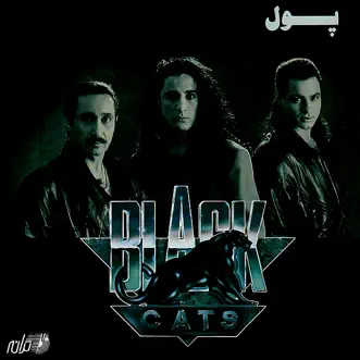 Pool by Black Cats album reviews, ratings, credits