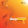 Deep House Excursions 1