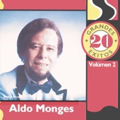 20 Grandes Exitos: Aldo Monges, Vol. 2 artwork