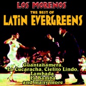 The Best of Latin Evergreens artwork