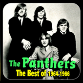 The Best Of 1964-1966 - The Panthers