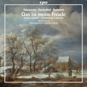 Das ist meine Freude (Cantatas from the Grossfahner-Collection) artwork