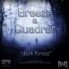 Stream & download Dark Forest - Single