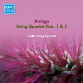 String Quartet No. 1 in D Minor: IV. Adagio - Allegretto artwork