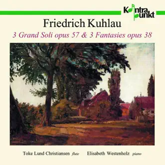 Grand Solo Op. 57,1 F Major: I. Allegro Con Gusto by Toke Lund Christiansen & Elisabeth Westenholz song reviws