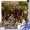 03 Los desertores del rock