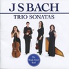 Bach: Trio Sonatas