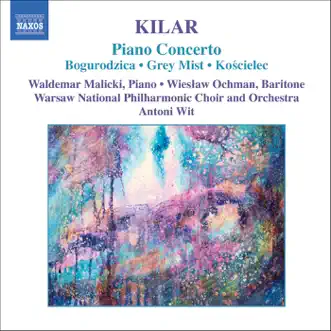 Piano Concerto (1997): I. Andante Con Moto by Antoni Wit, Waldemar Malicki & Warsaw National Philharmonic Orchestra song reviws