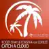 Catch a Cloud (Roger Shah Mix) song reviews