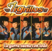 Los Tigrillos - Baila Este Cumbión