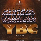 YBC III - Shabichi artwork