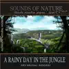 A Rainy Day In the Jungle album lyrics, reviews, download