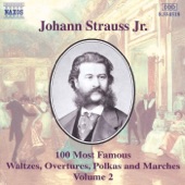 Strauss II: 100 Most Famous Works, Vol. 2 artwork
