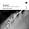 Piano Sonata No. 20 in A Major, D. 959: IV. Rondo - Allegretto artwork
