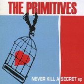 Never Kill a Secret - EP artwork