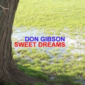 Don Gibson - Run Boy