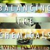 Balancing the Chemicals